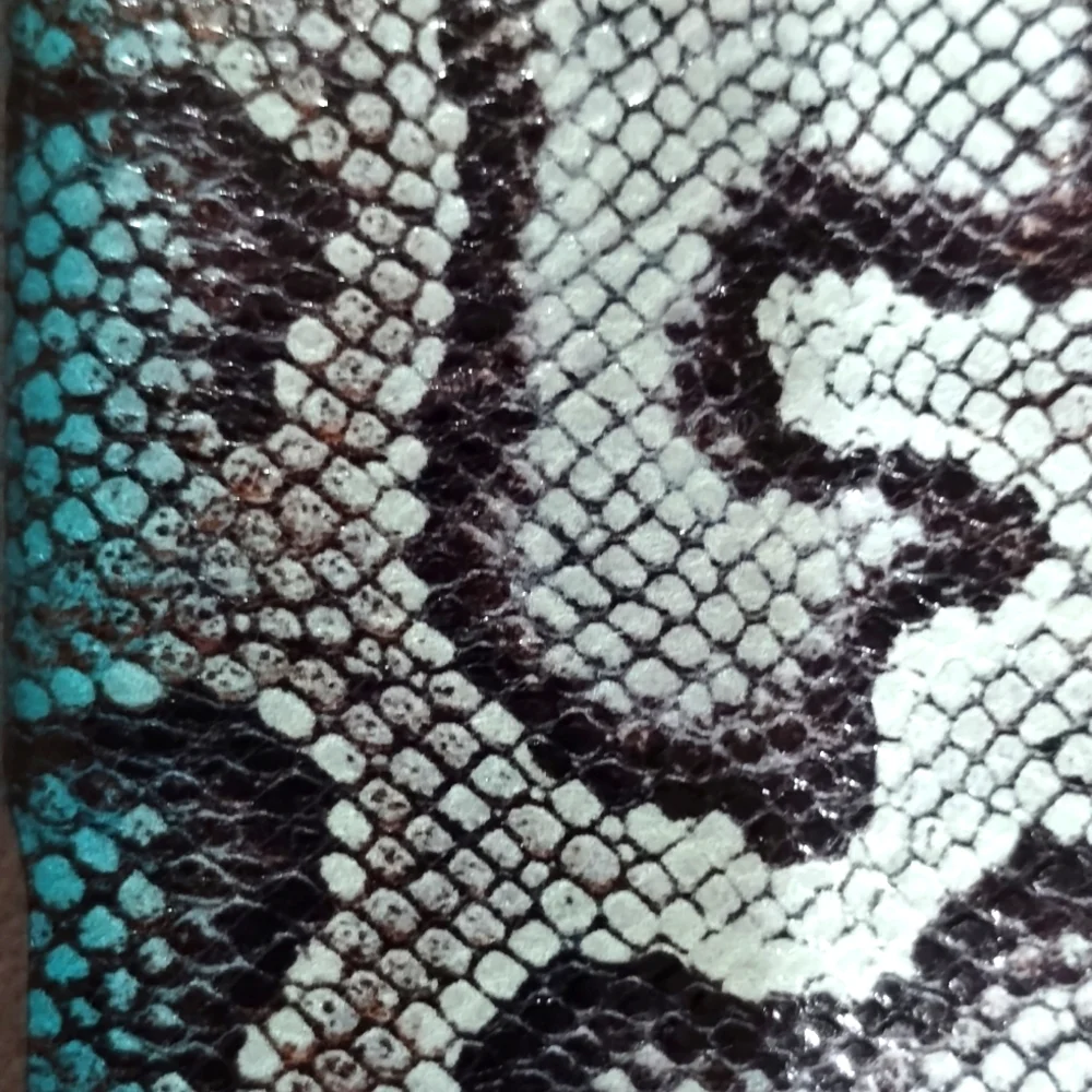 Bottega Veneta iPhone 10/XS Emb Snakeskin leather cover & Dust Cloth Nwot